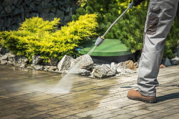 Best Sidewalk and Walkway Cleaning  in Westlake Vlage, IL