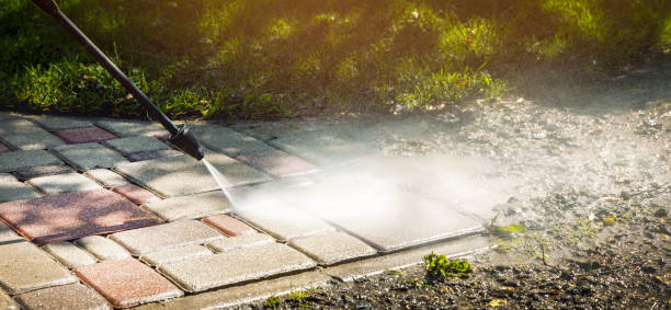 Best Animal Enclosure Cleaning  in Westlake Vlage, IL