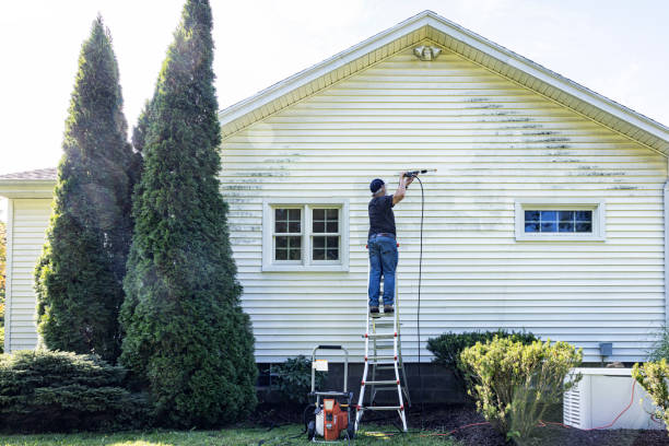 Best Building Exterior Washing  in Westlake Vlage, IL